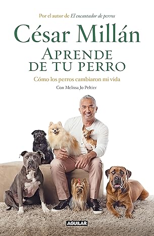 Aprende de tu perro: Cómo los perros cambiaron mi vida