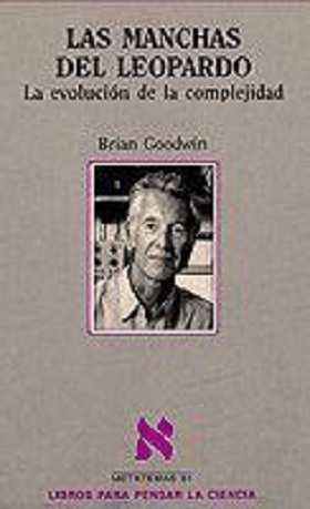 Las manchas del leopardo